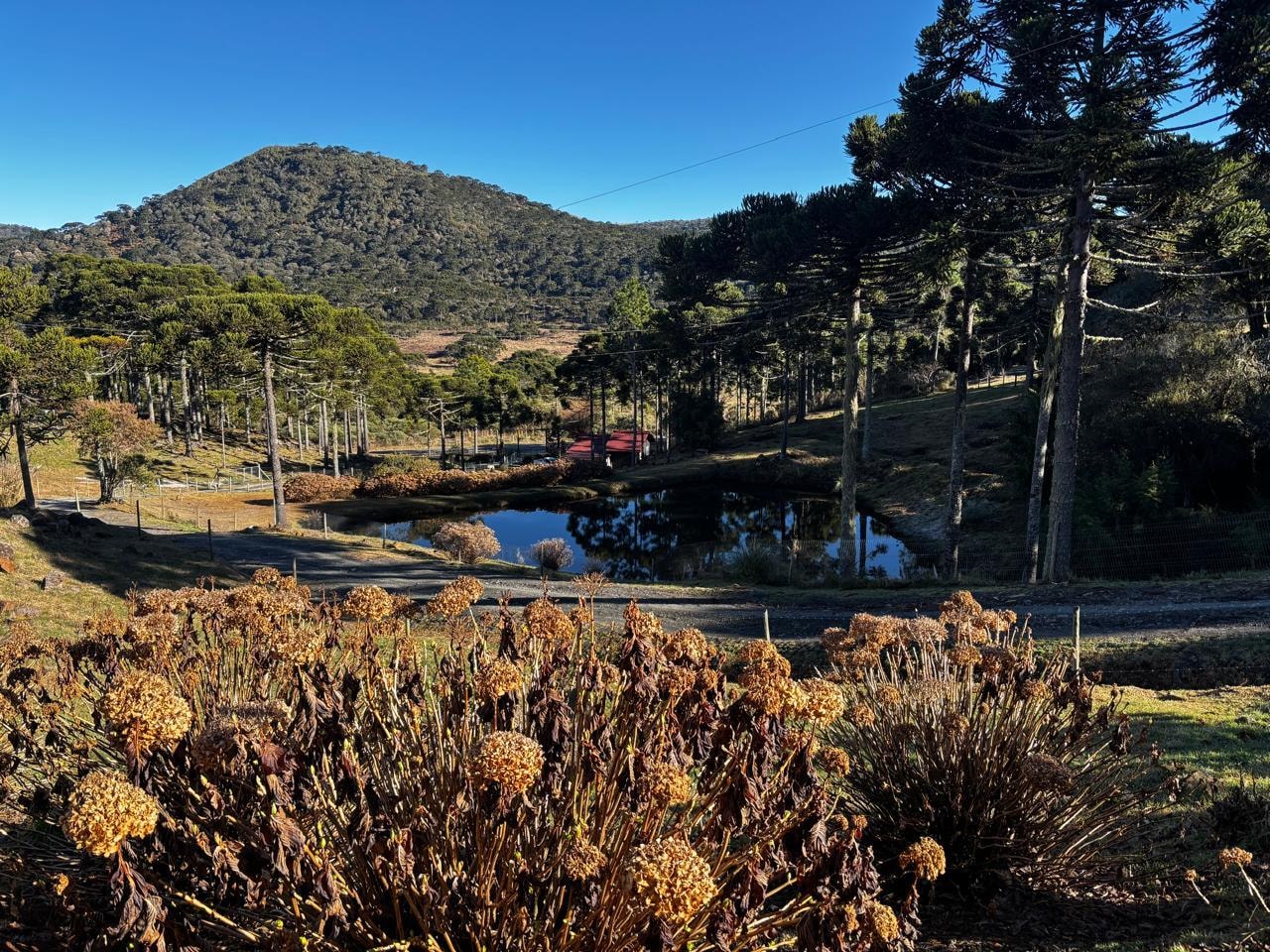 vista da varanda