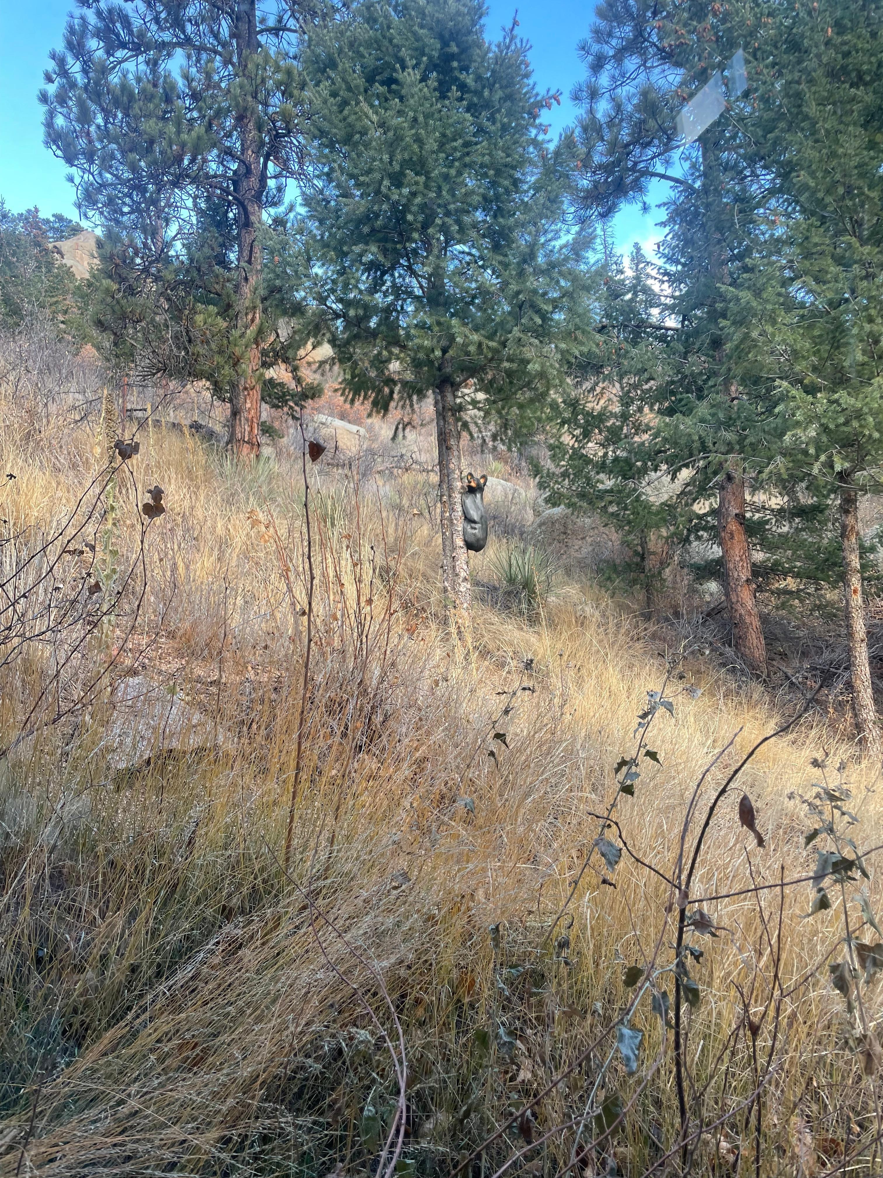 Beautiful Mountain View. 