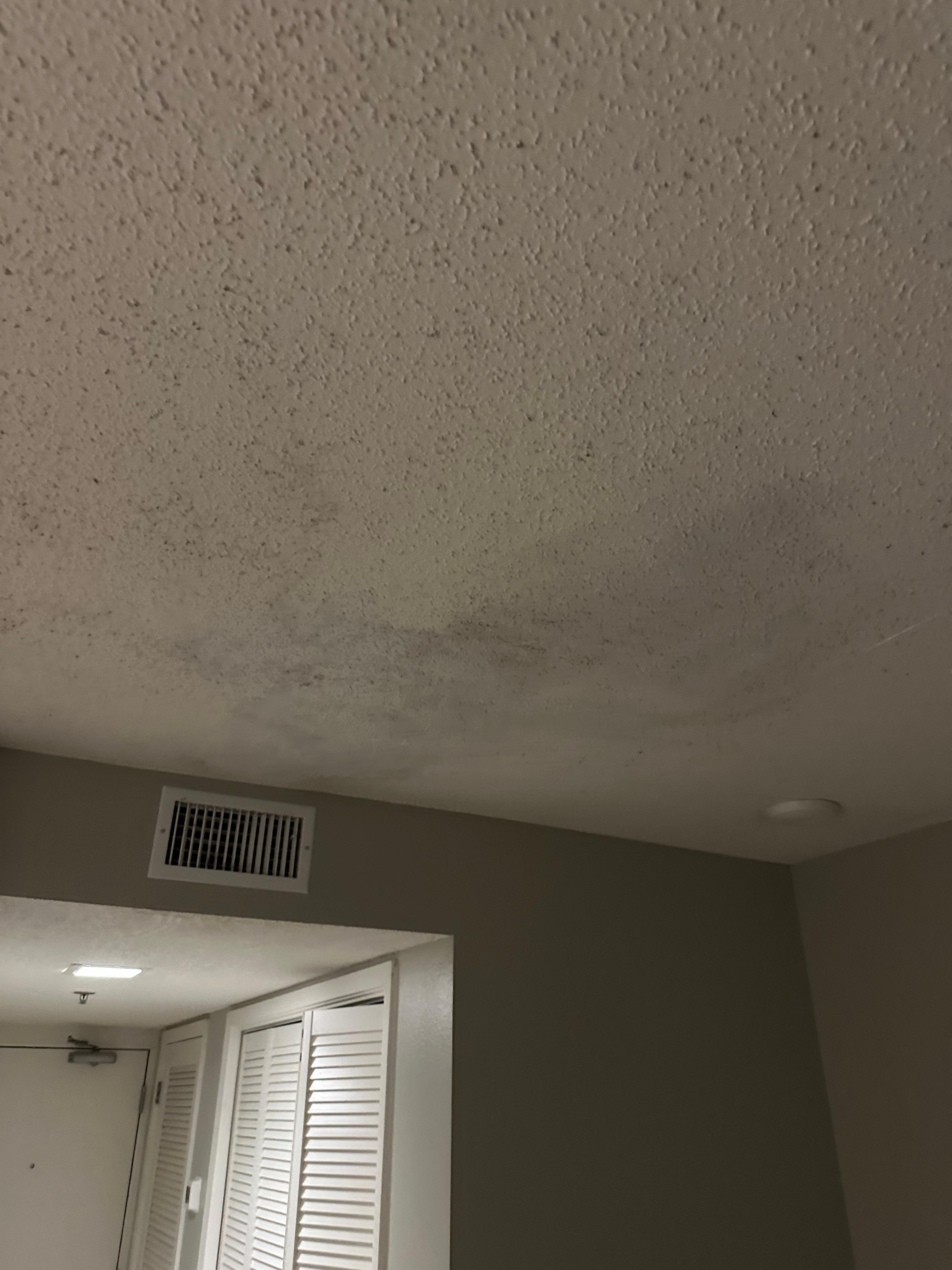 Visible mold in ceiling