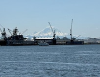 Mt. Rainier