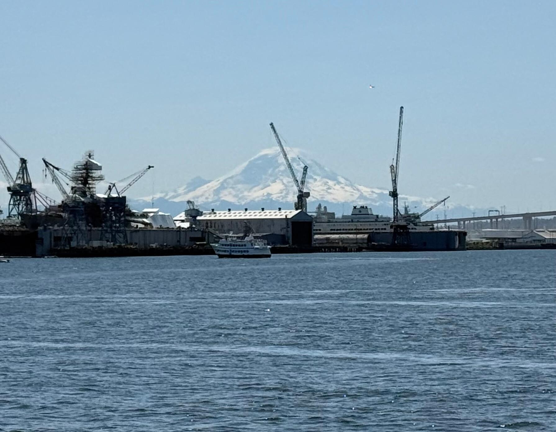 Mt. Rainier