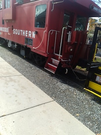 Scenic train