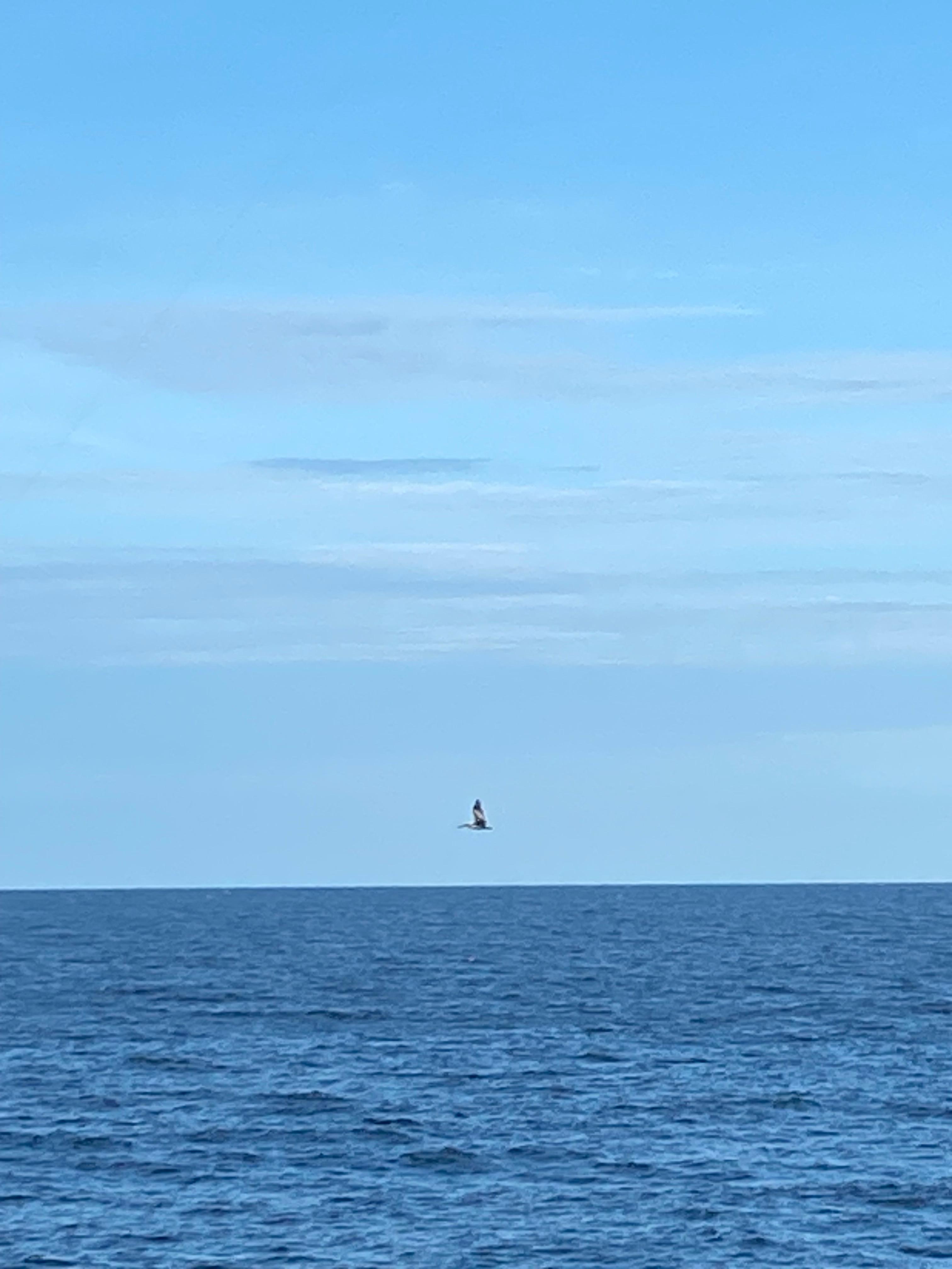 Beautiful and tranquil