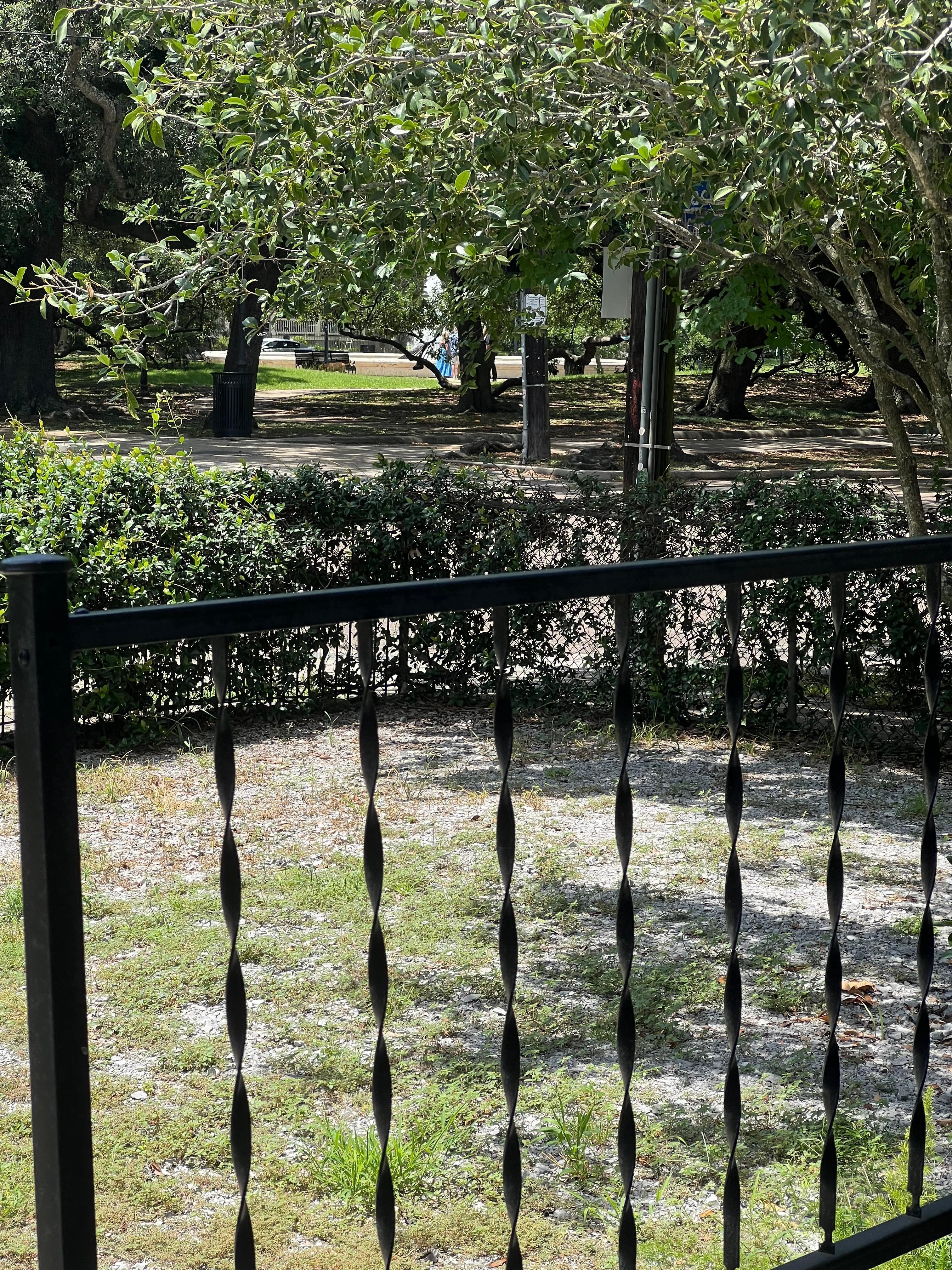Looking across at the park from the front porch