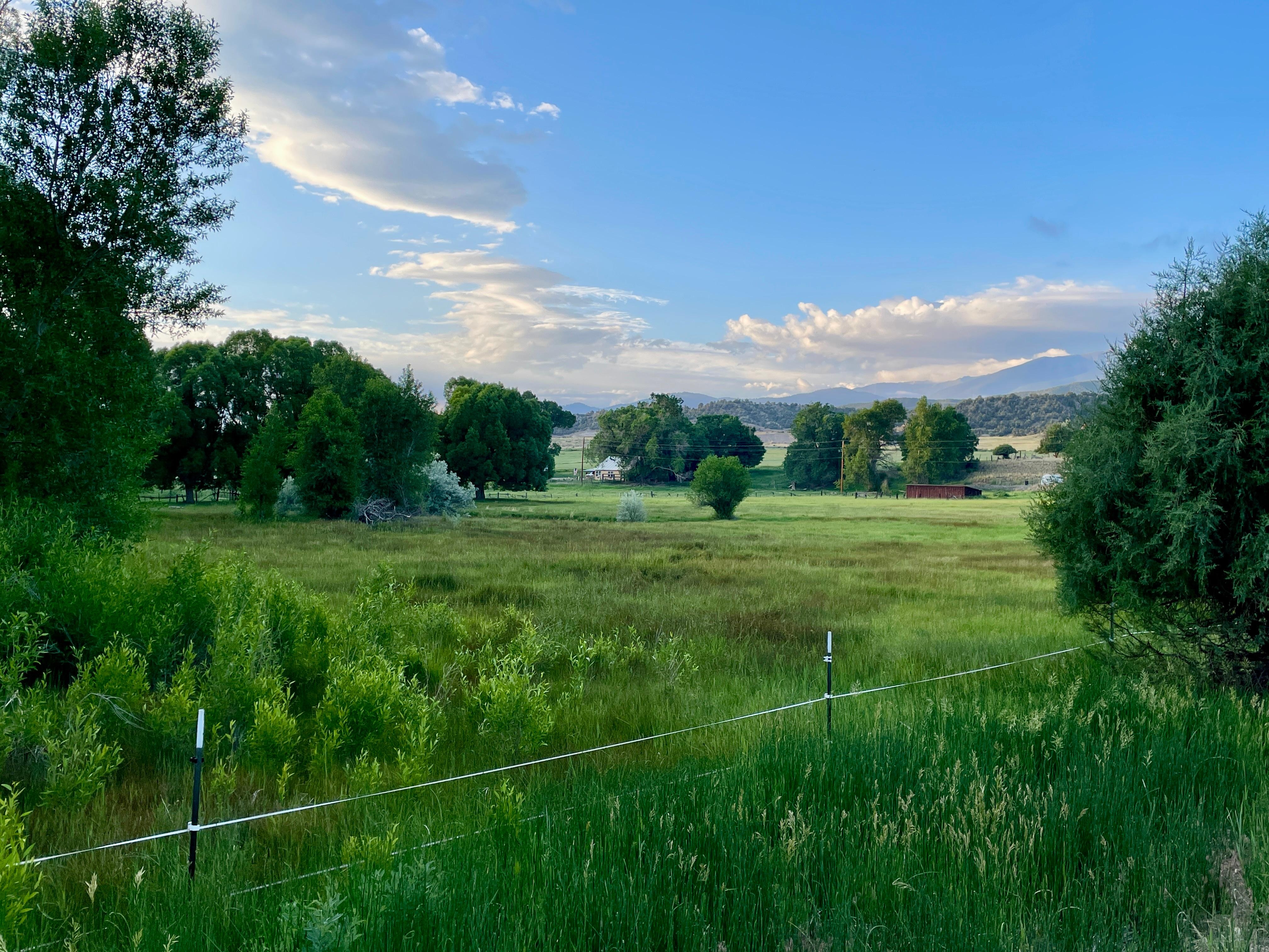 View behind property