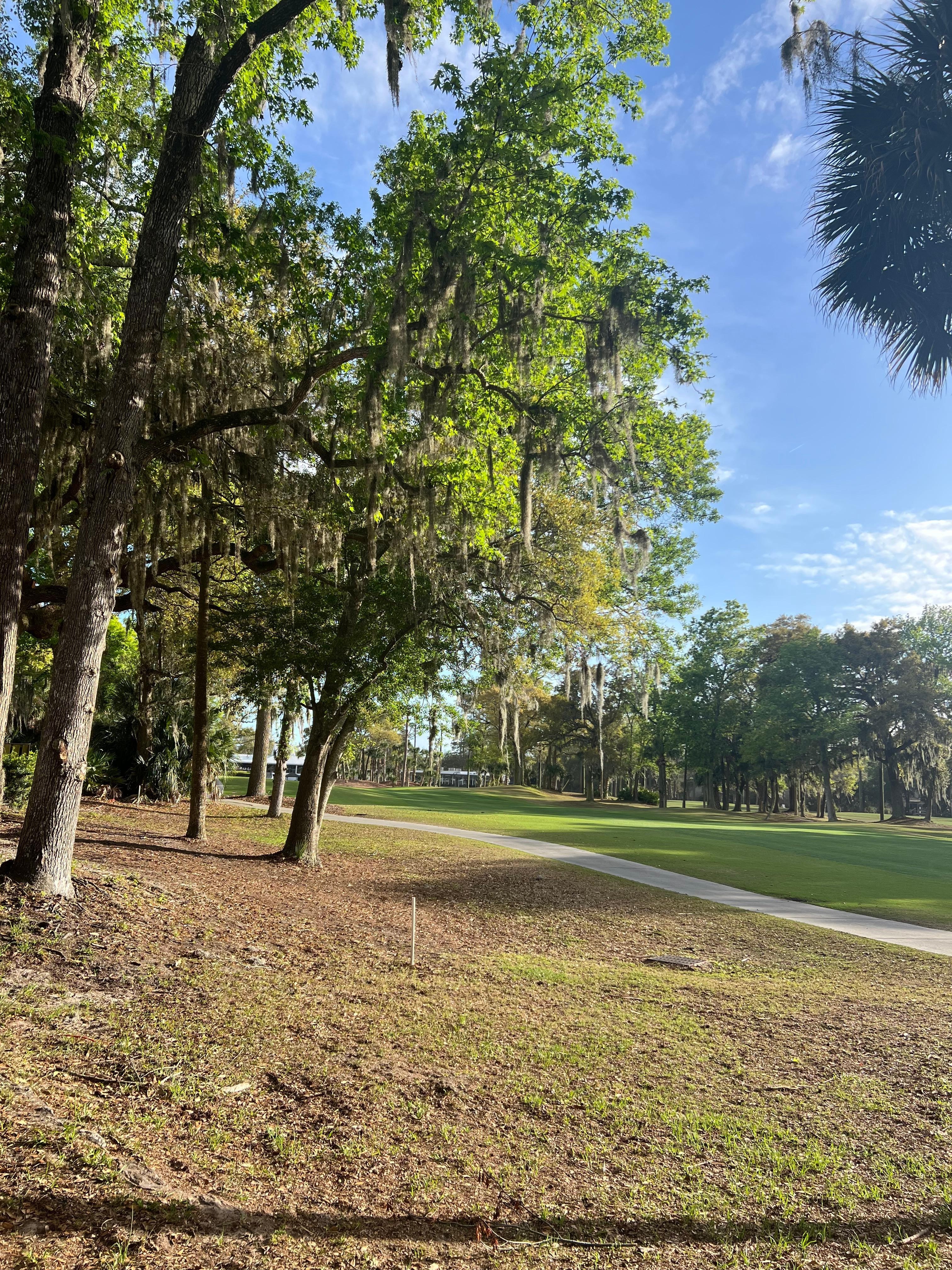 View on the first hole. 