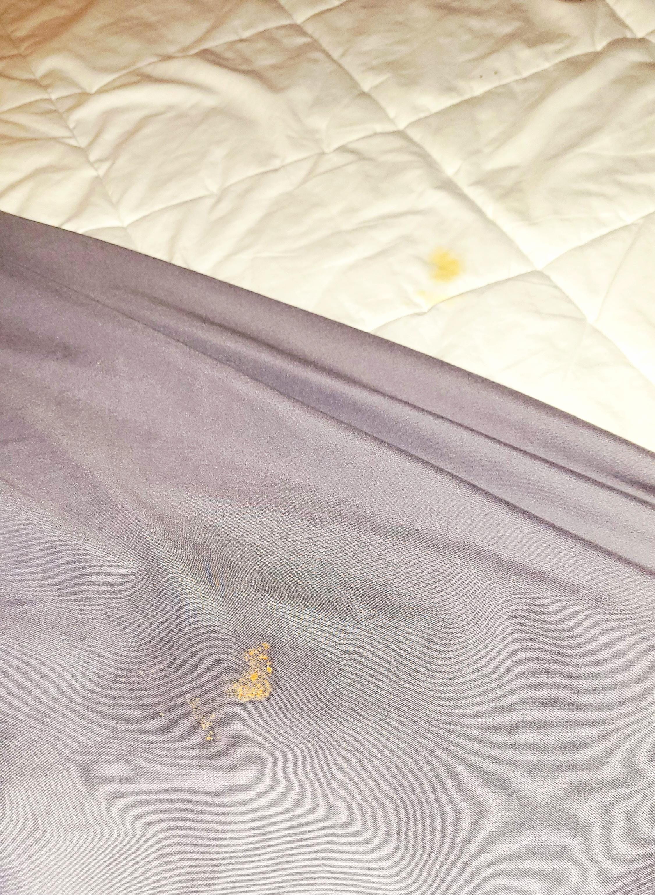 Sheets were soiled, bed was made up as if clean