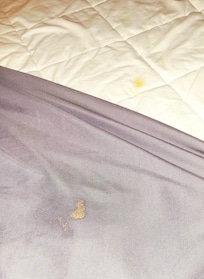 Sheets were soiled, bed was made up as if clean