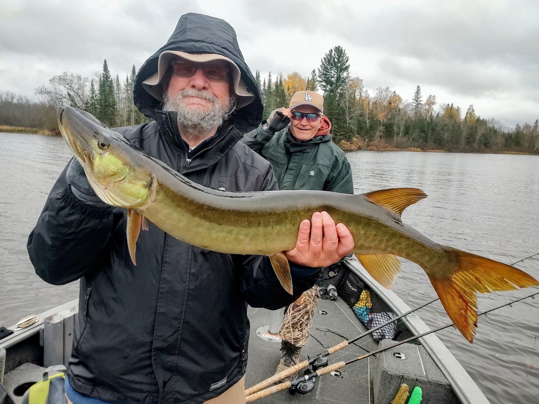 Isn't thus one nice?