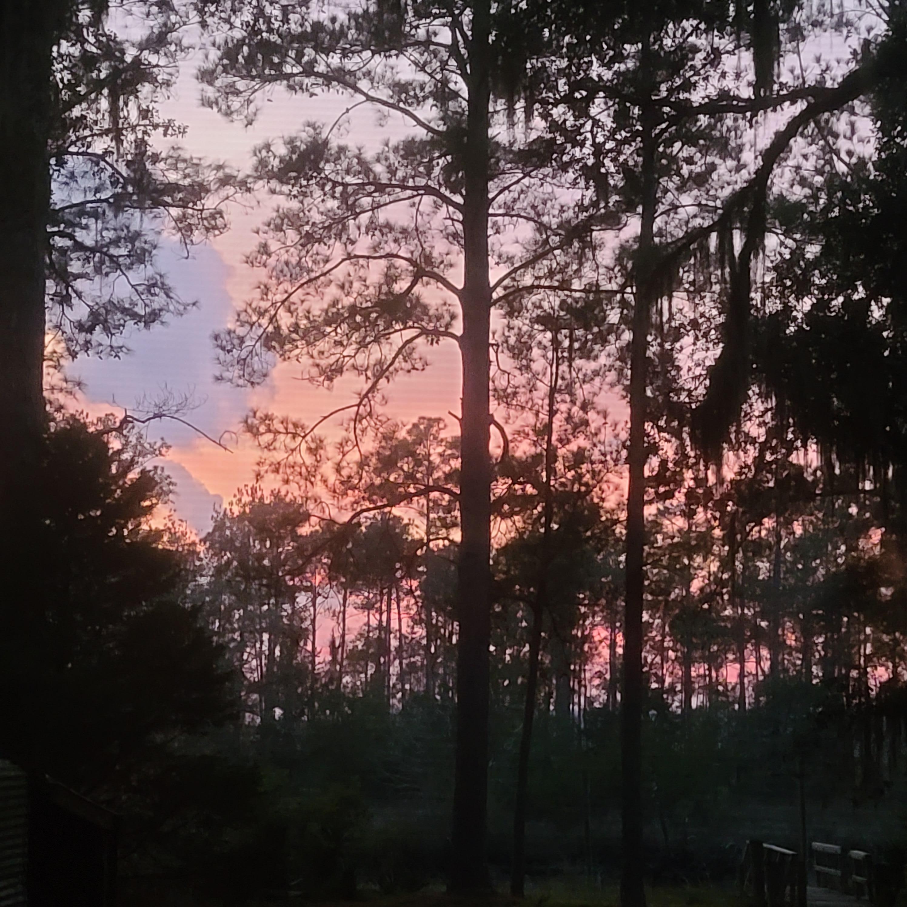 Sunset from the backyard