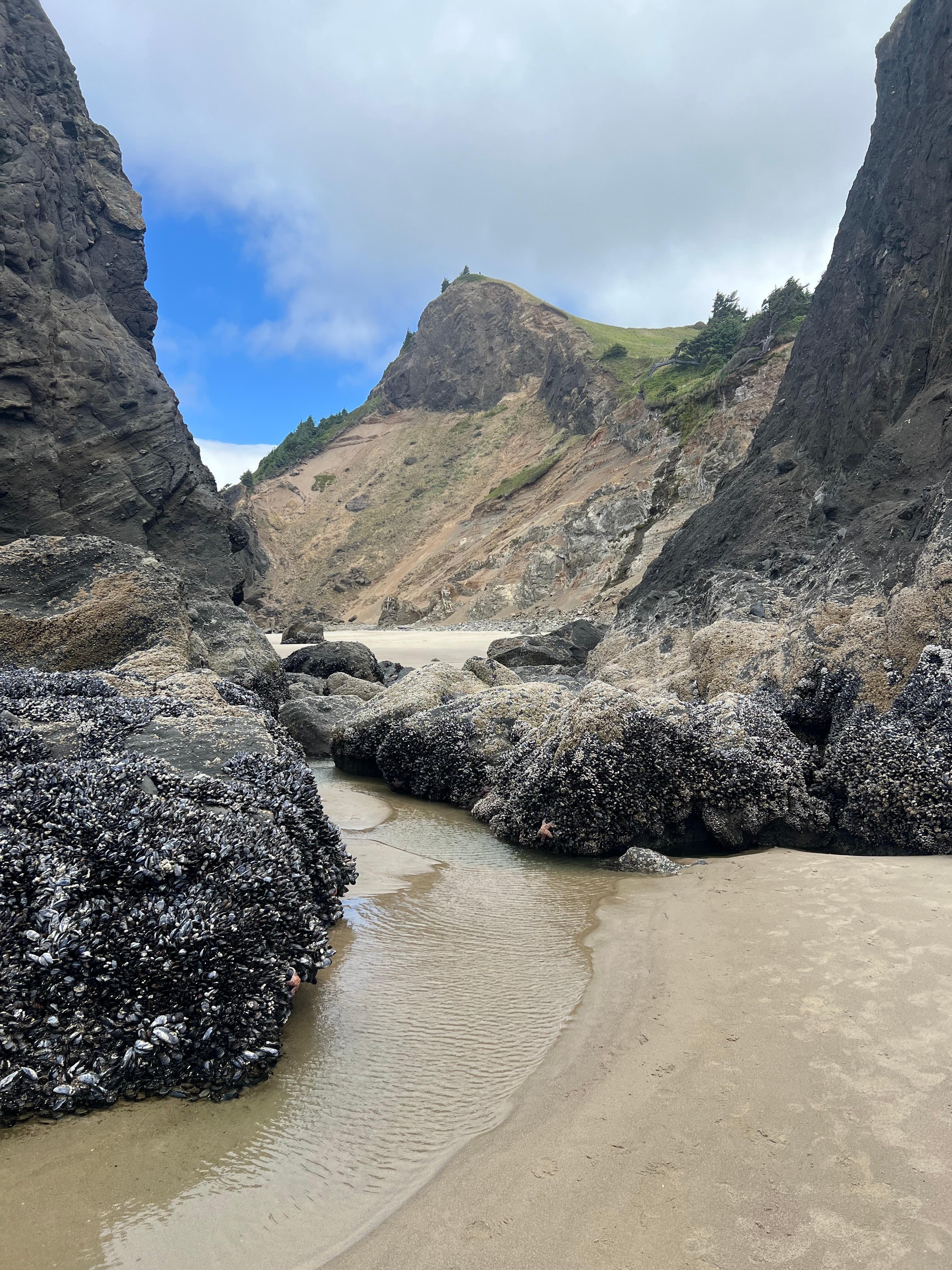 Rid pools during low-tide