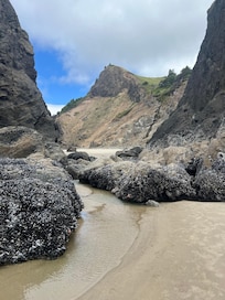 Rid pools during low-tide