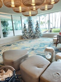 ロビーにクリスマスツリーが飾られてました。