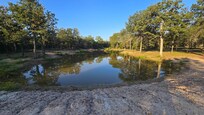 Pond