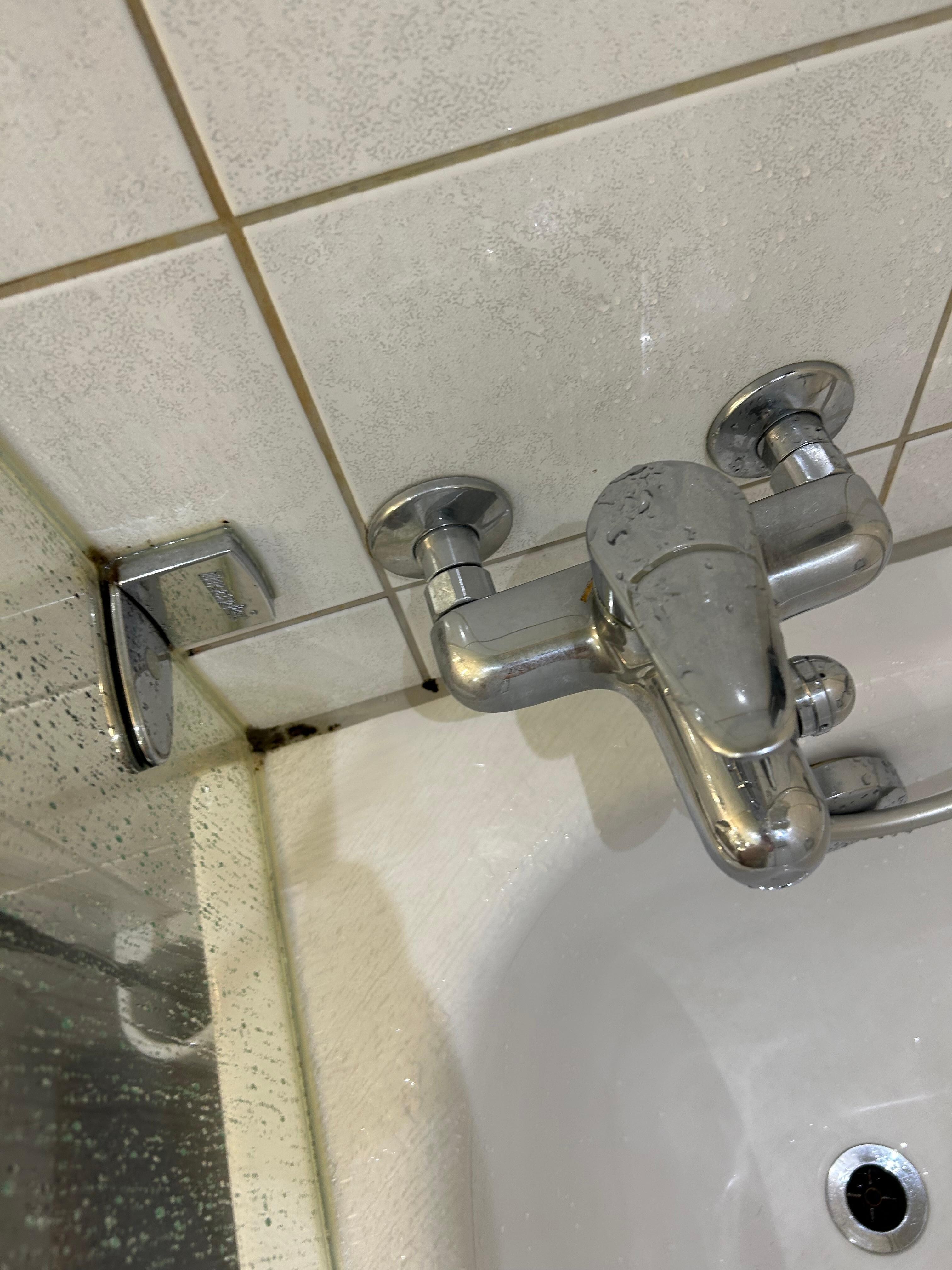 Mold 