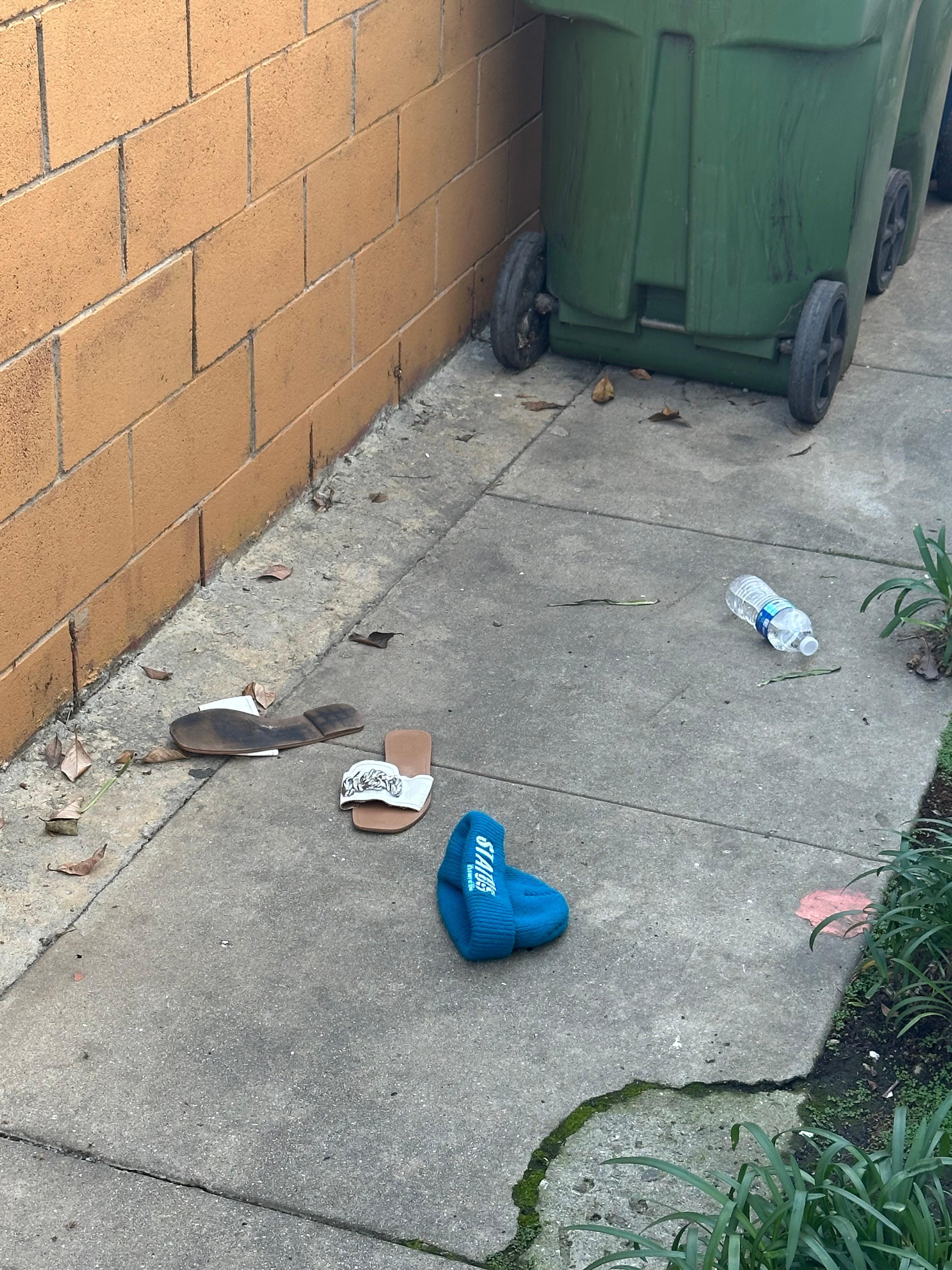 Garbage in side yard