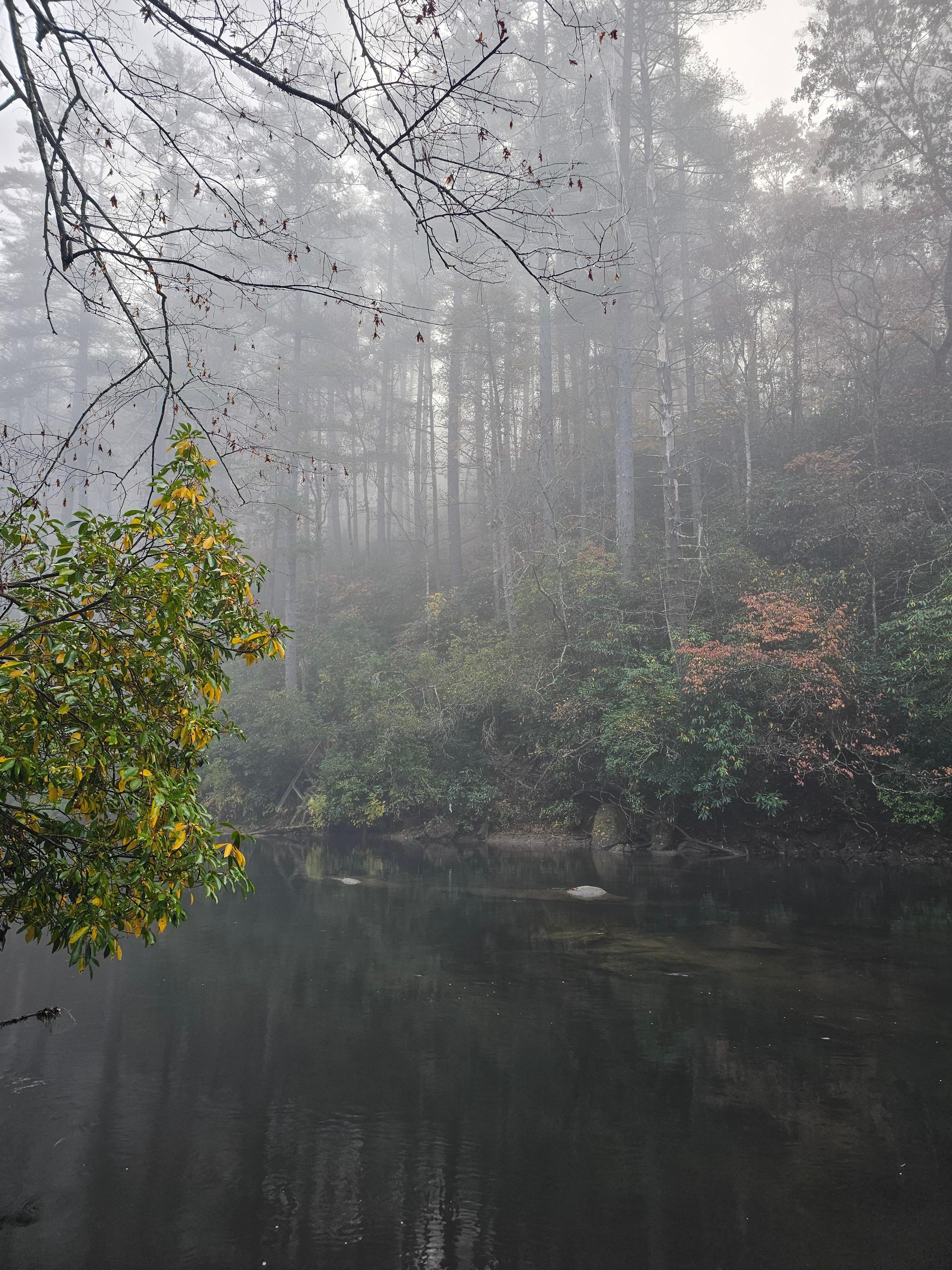 Back dock area on a misty morning, great spot for a morning coffee!