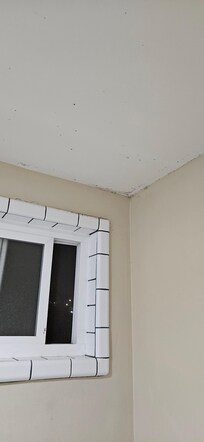 Windows opened, thank goodness to air out the moldy room it had a musty old smell in whole room.