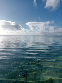 In the water at the villa beach