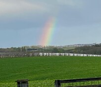View from the living room window.