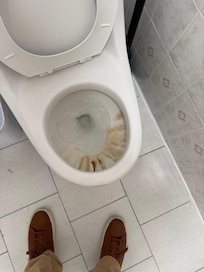 Dirty toilet