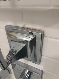MOLD
