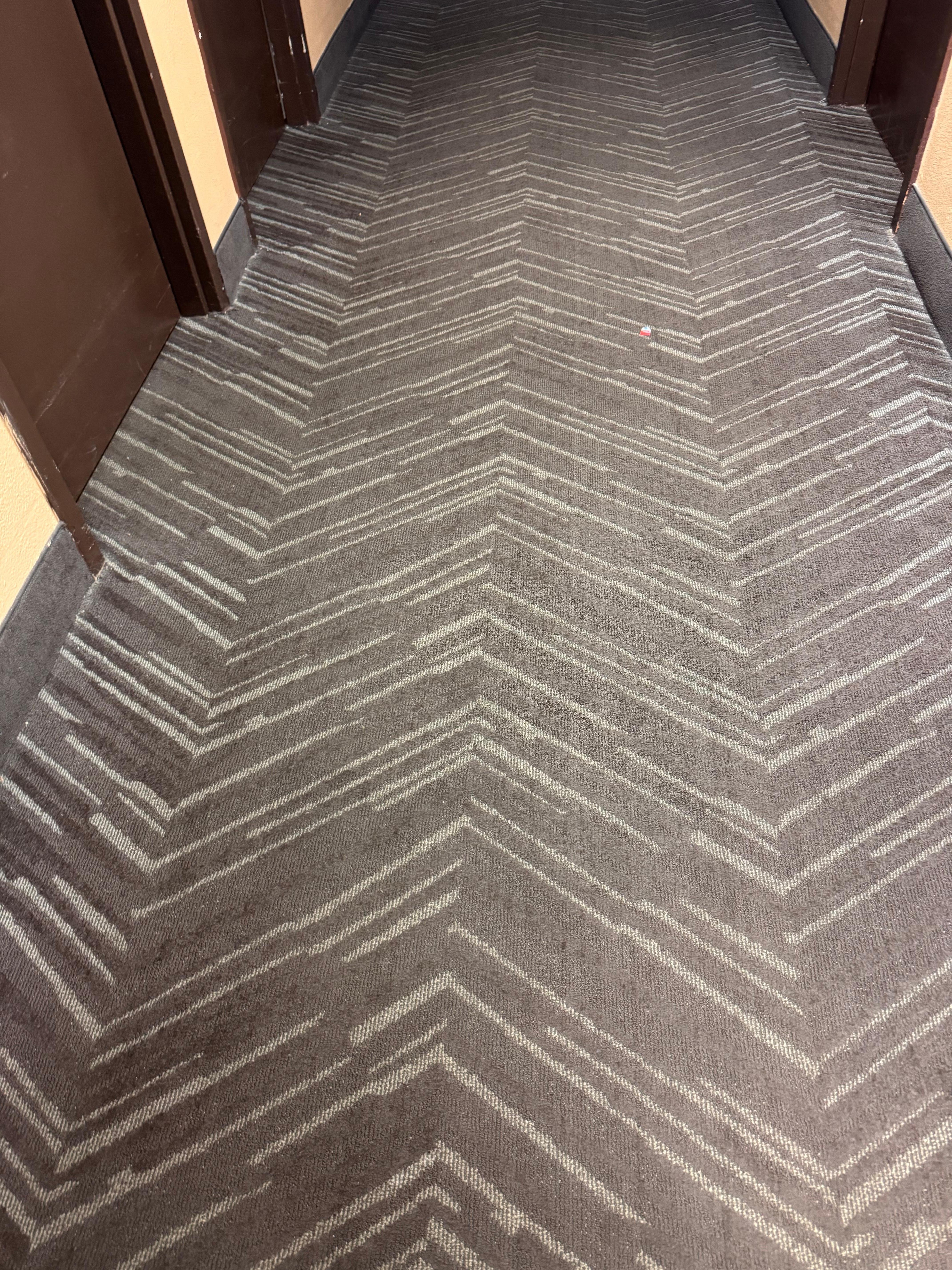 Dirty carpet everywhere, visible dirt caked on carpets