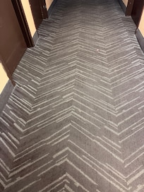 Dirty carpet everywhere, visible dirt caked on carpets