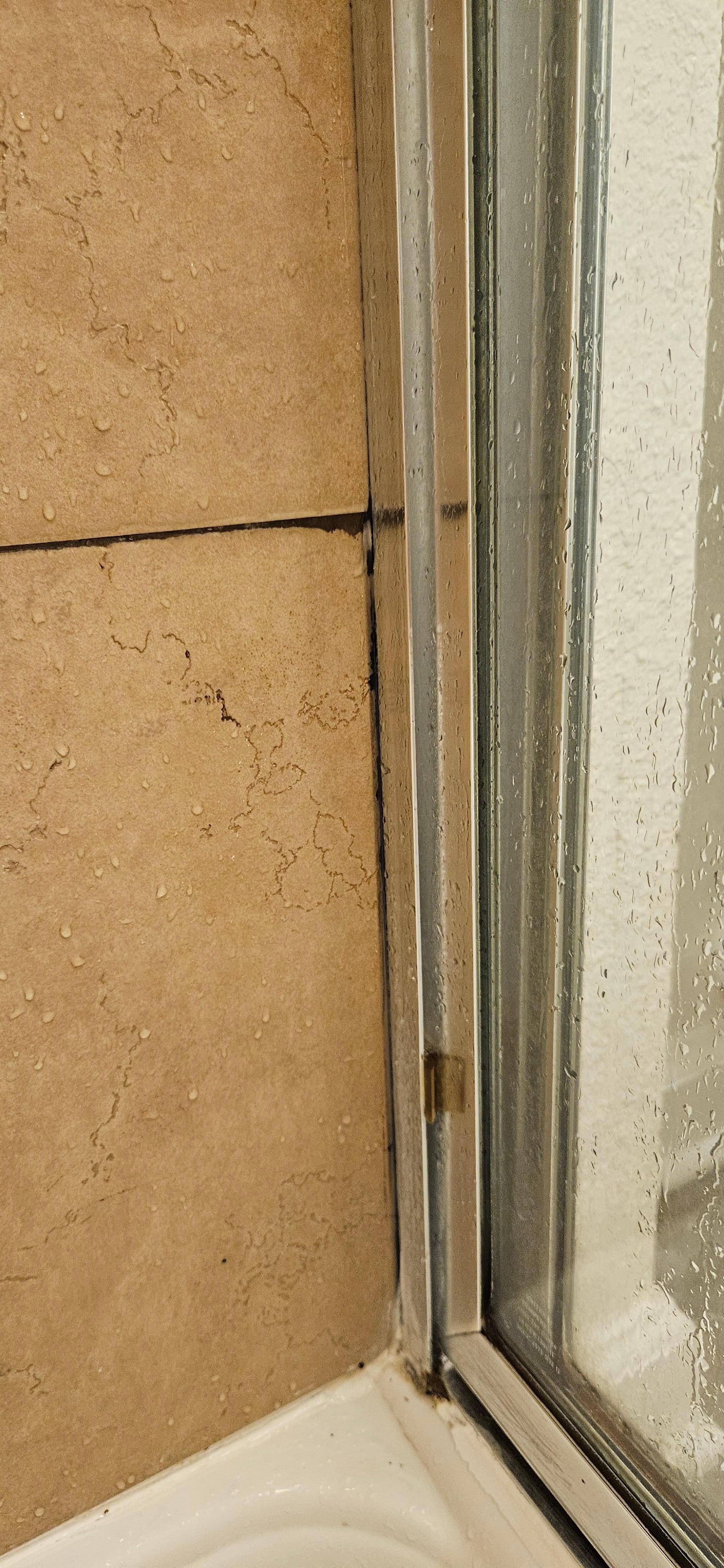 Mold in tile grout abd silicone edging is nasty