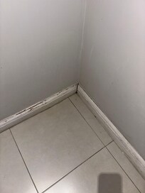 Mold and dirt on floor boards