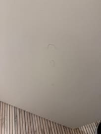 Poils sur la porte de salle de bain