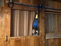 Peeking out of one room to another.