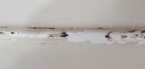 Mold