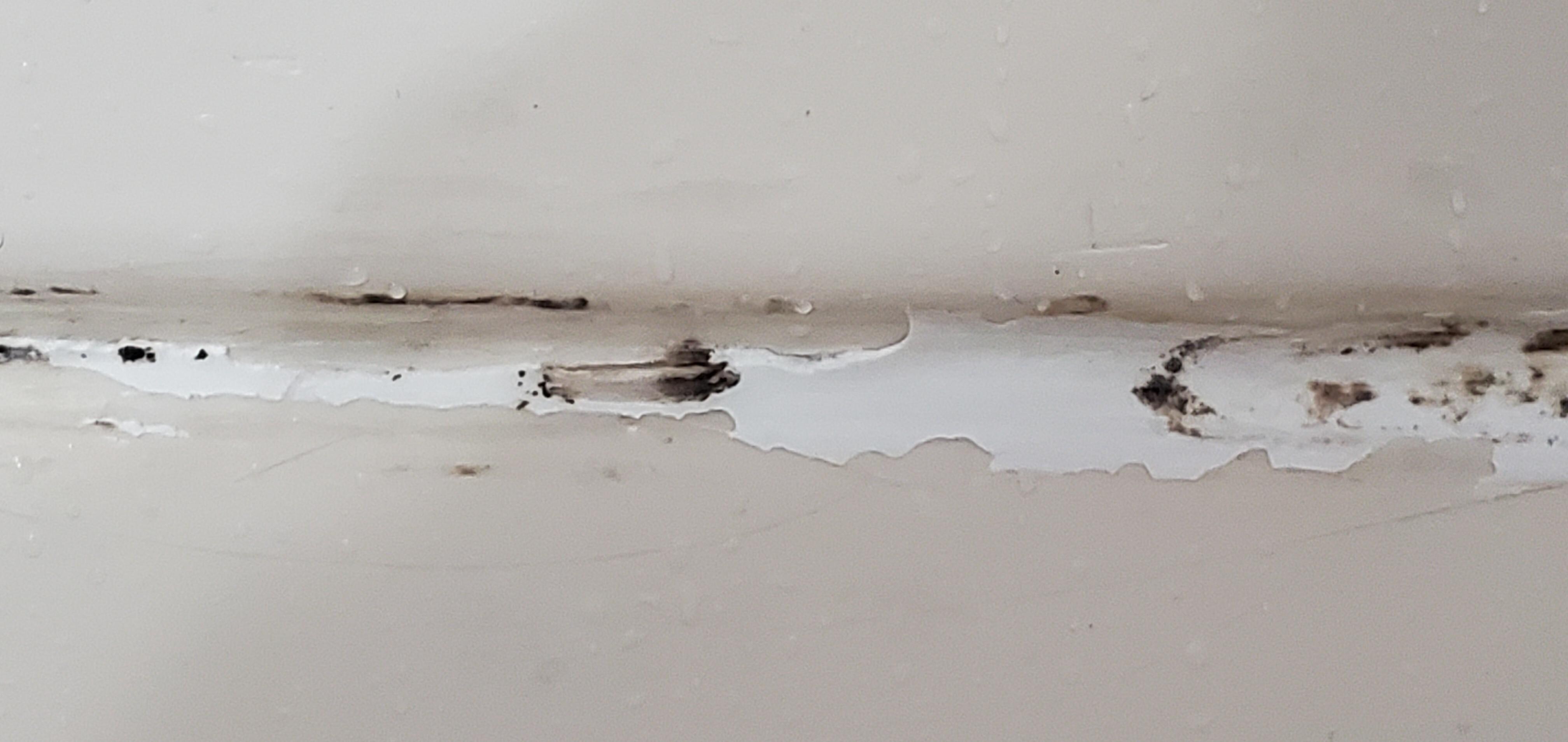 Mold