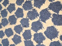 Dog haired rug