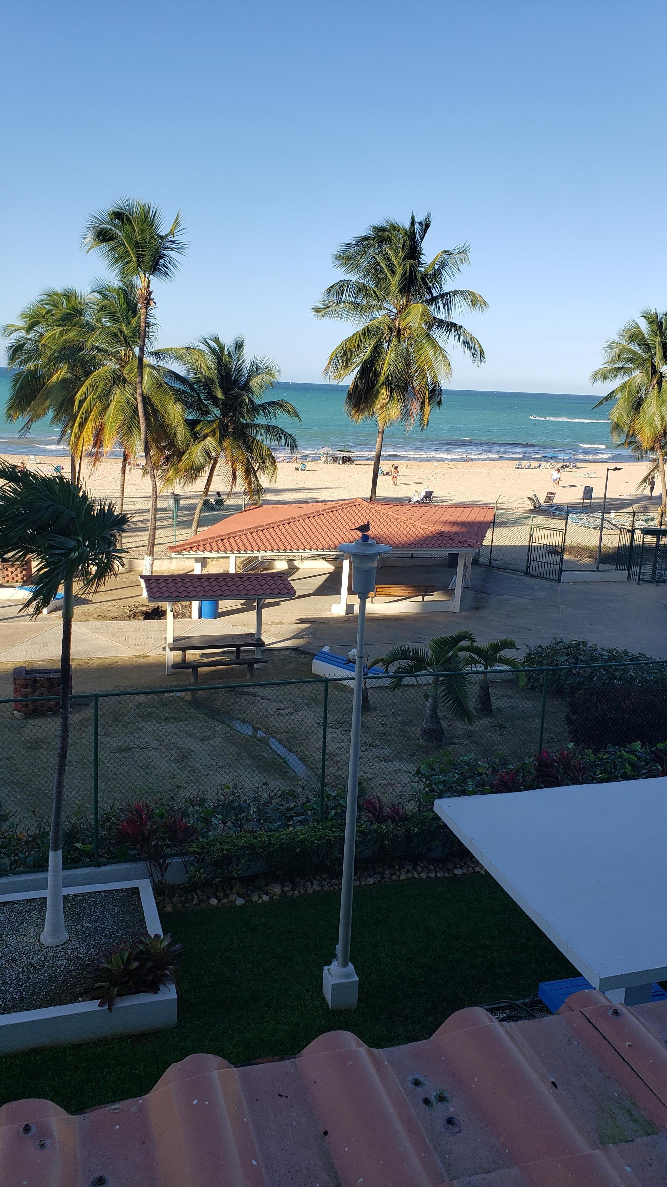 Vendors on the beach sell beverages & food.