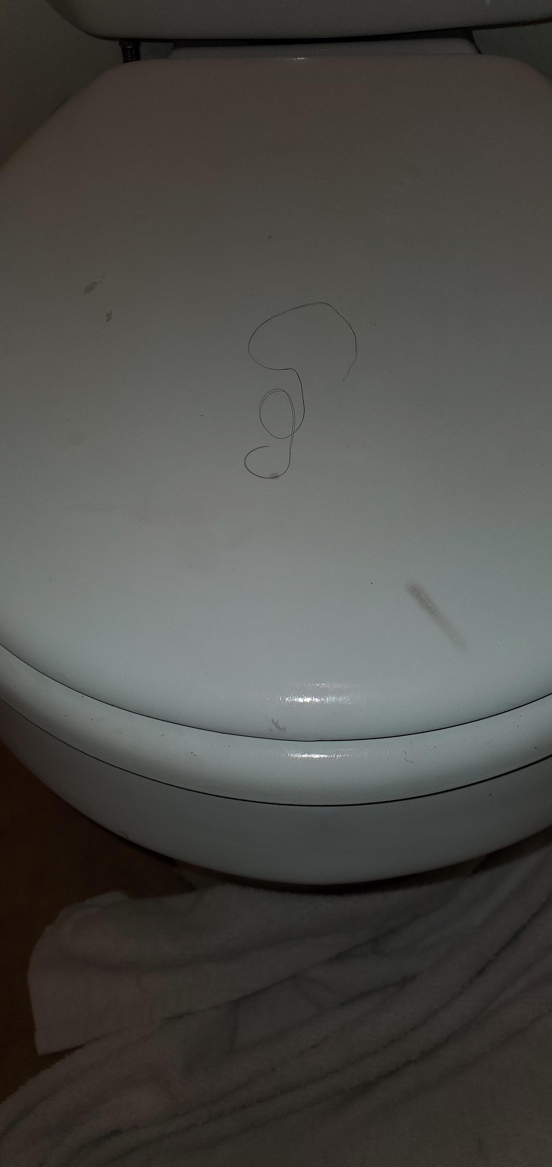 Hair on the toilet seat means the bathroom wasn't cleaned properly!
  