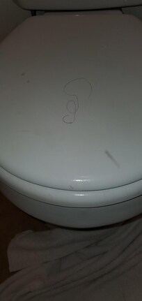 Hair on the toilet seat means the bathroom wasn't cleaned properly!