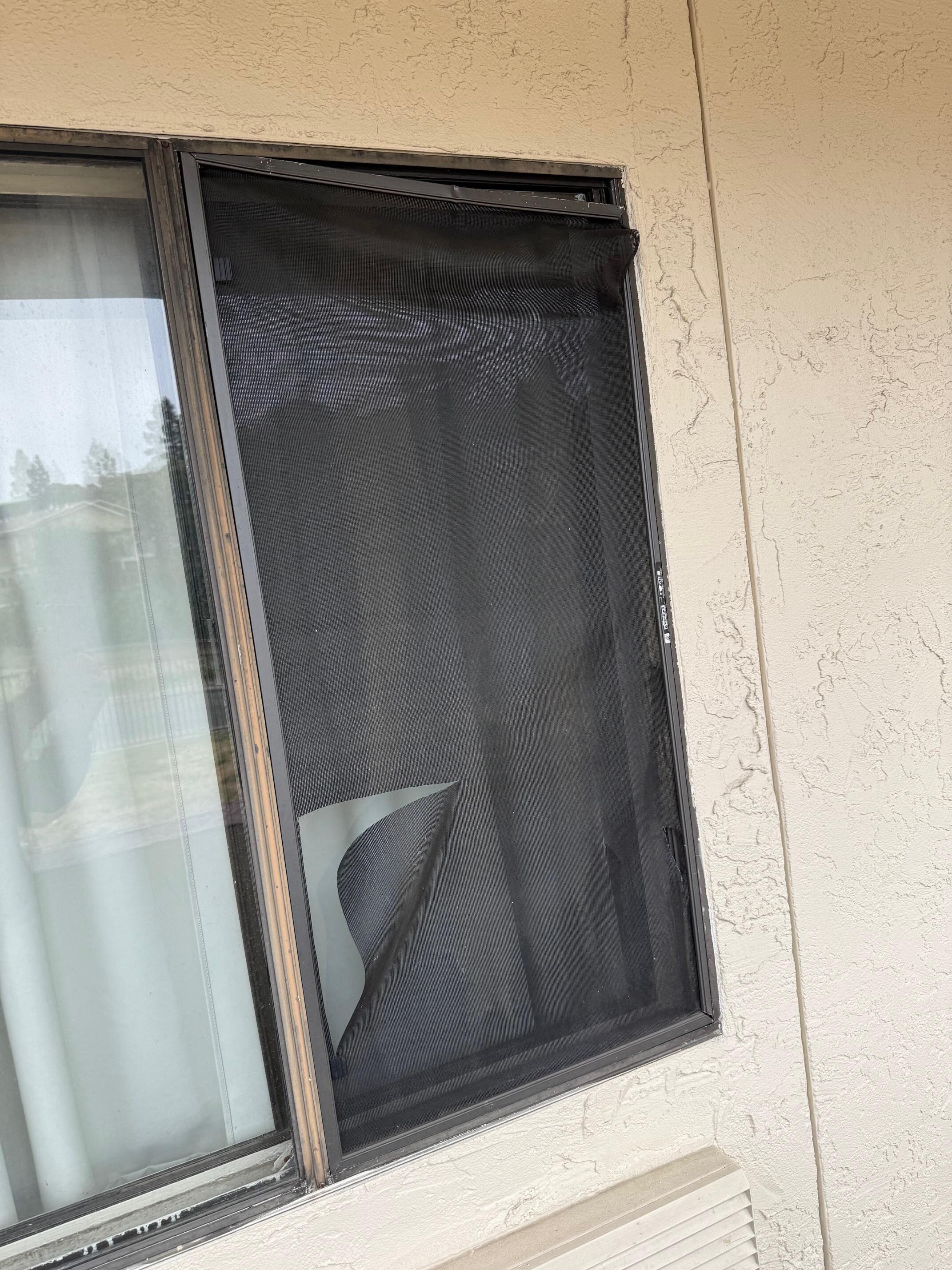 Couldn't use window.  Screen broken--mosquitos