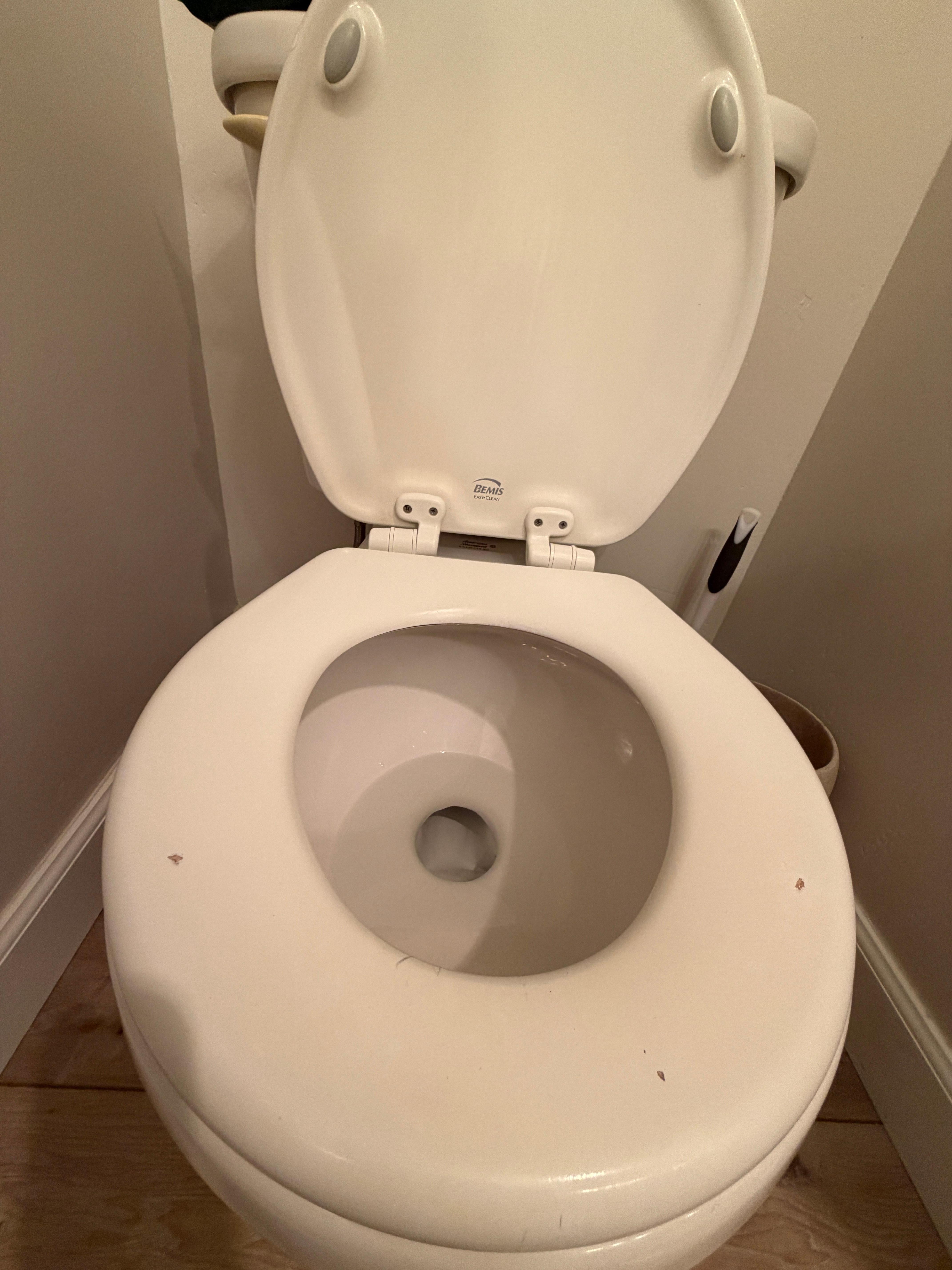 Old toilet so it flushes with more water. Nice. But it looks like it's 30 years old. that's the kind of use you don't want to think about for too long.