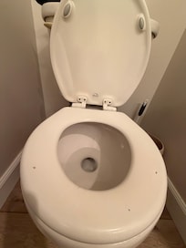 Old toilet so it flushes with more water. Nice. But it looks like it's 30 years old. that's the kind of use you don't want to think about for too long.