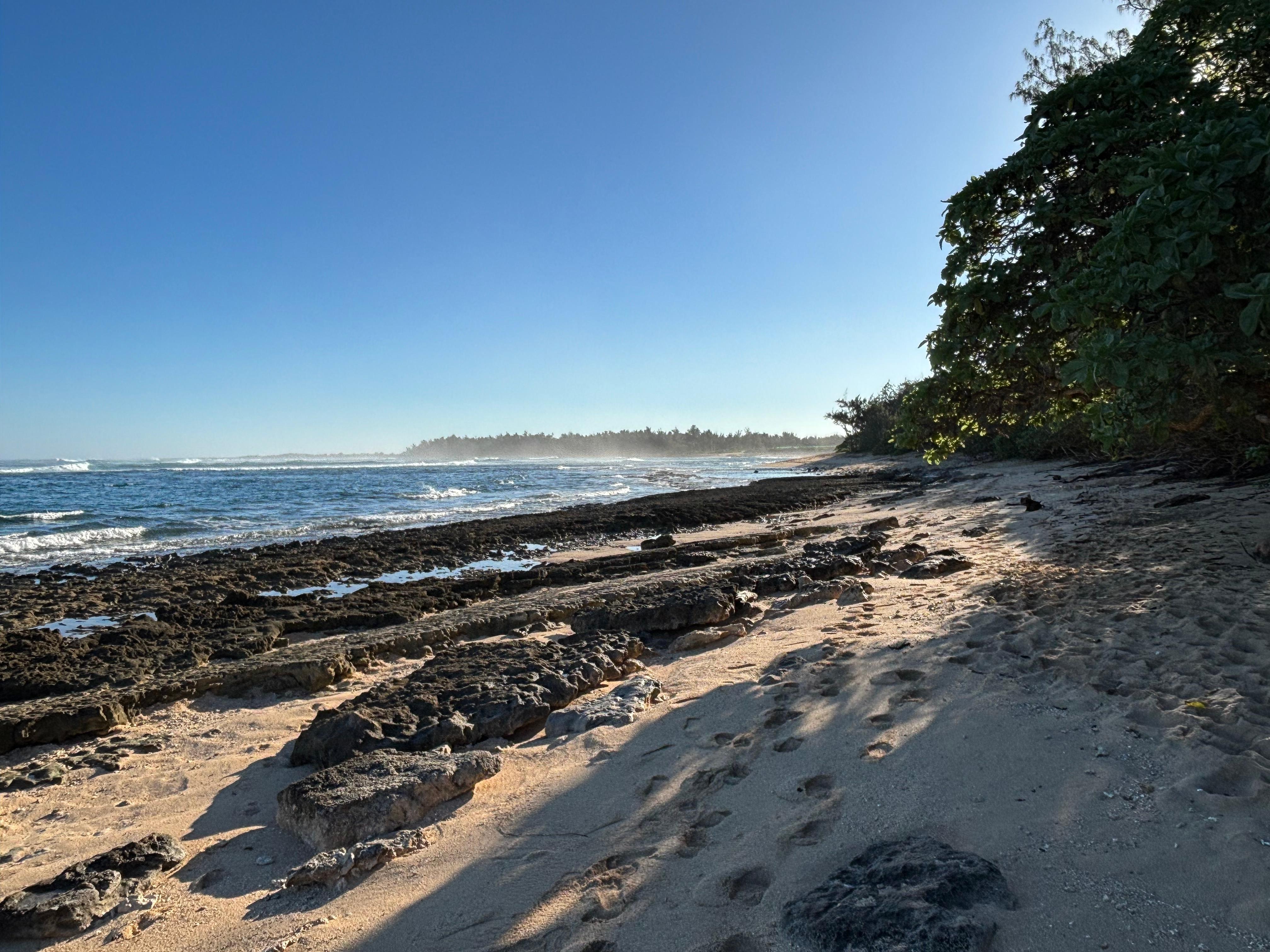 Amazing shoreline walks with seals, turtles, nesting albatross et al!