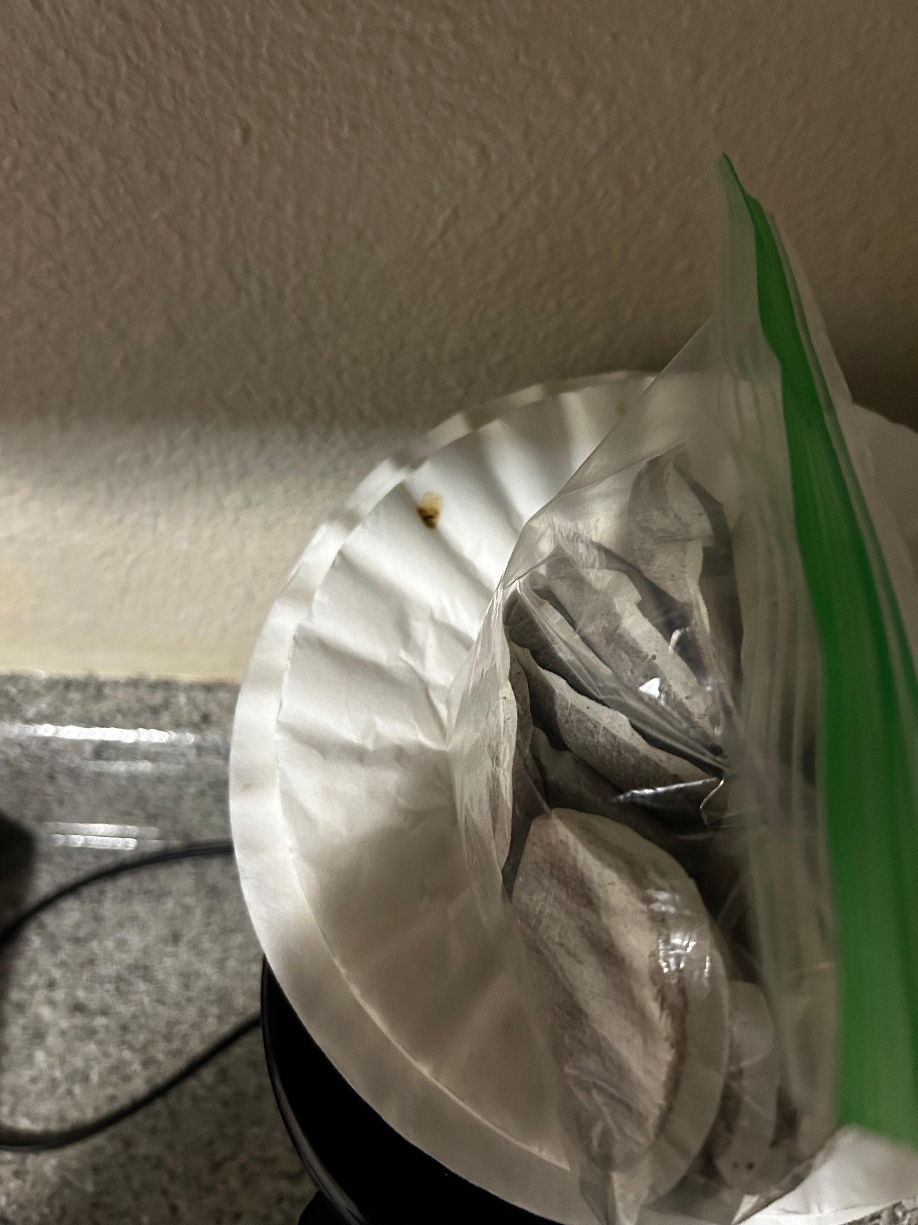 Ready to use-dirty coffee filters