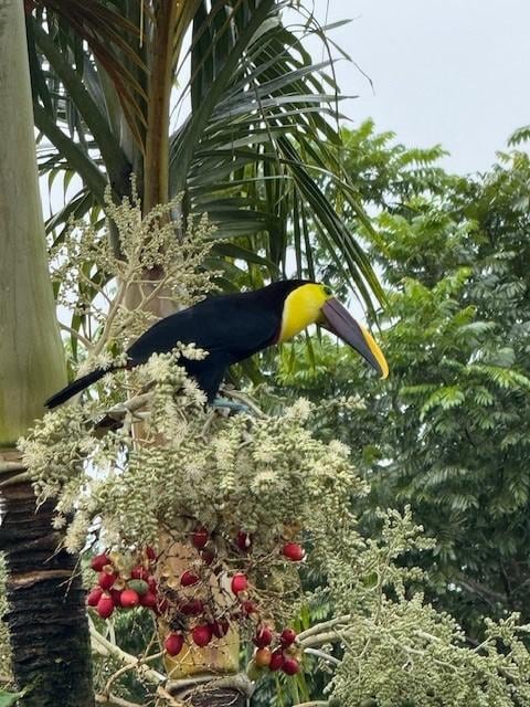 Our guest at the restaurant at breakfast