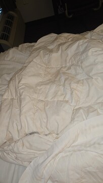 Disgusting comforter