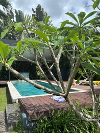Lounging by the pool