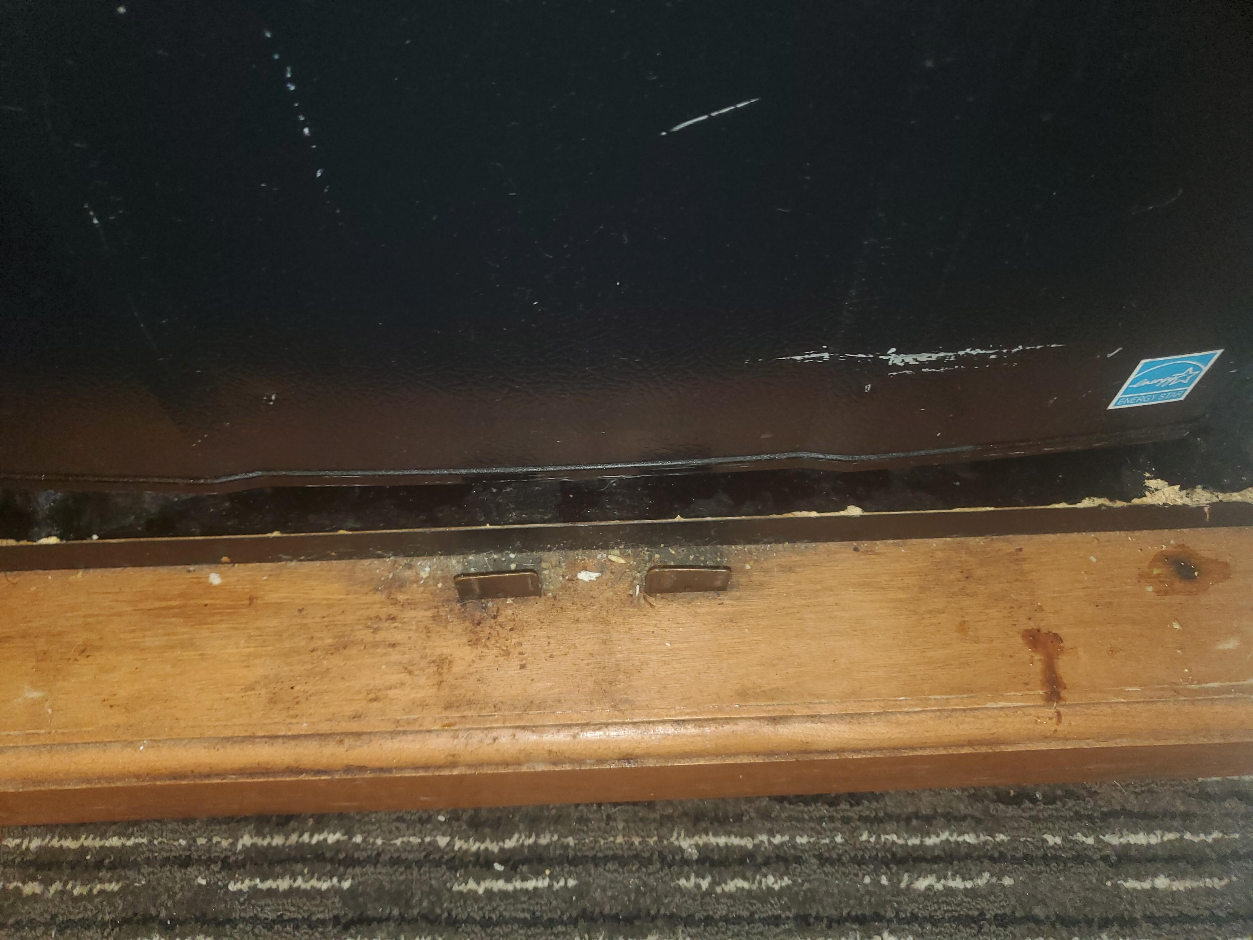 Dirty in front of fridge