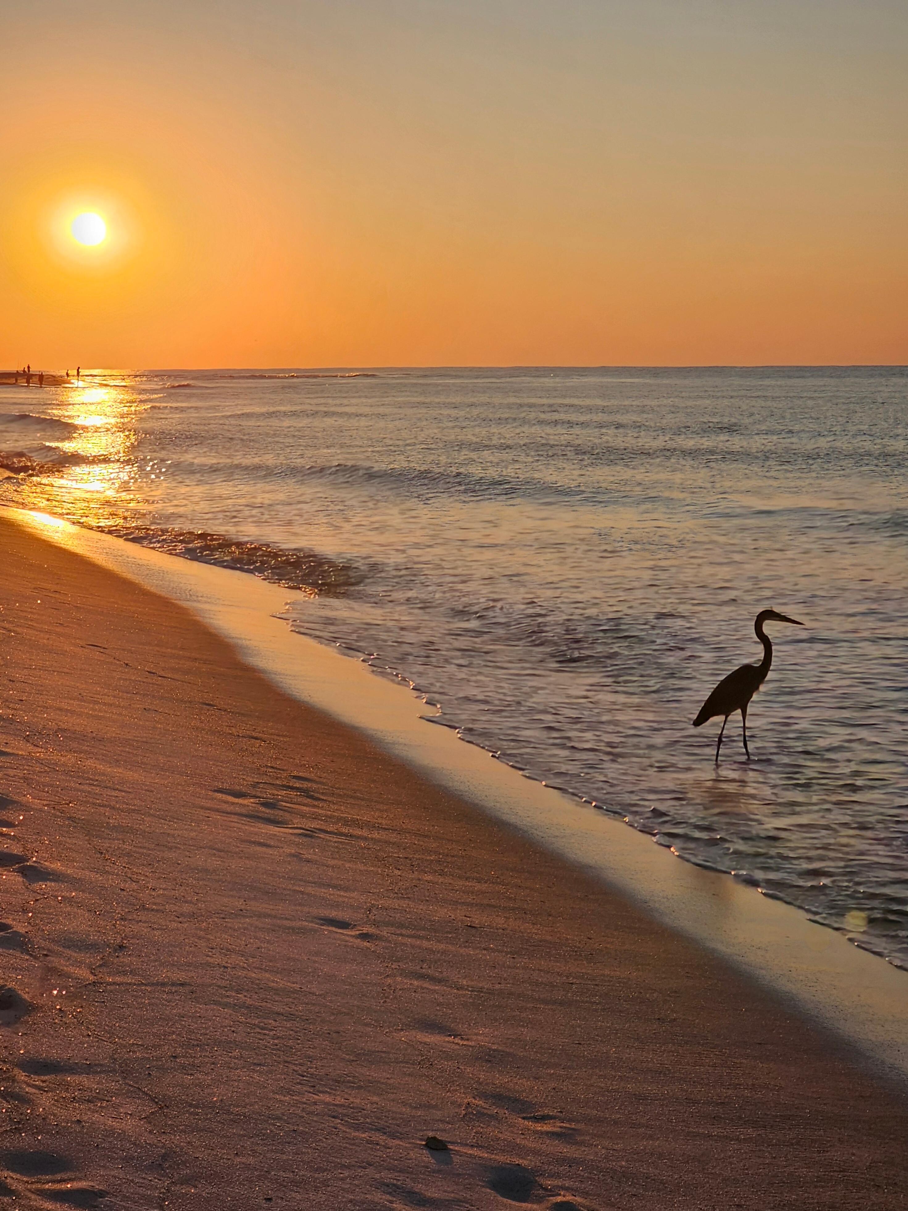 Sunrise a short walk away. 