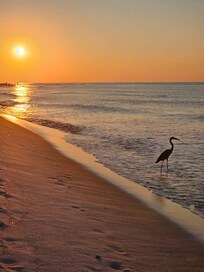 Sunrise a short walk away.