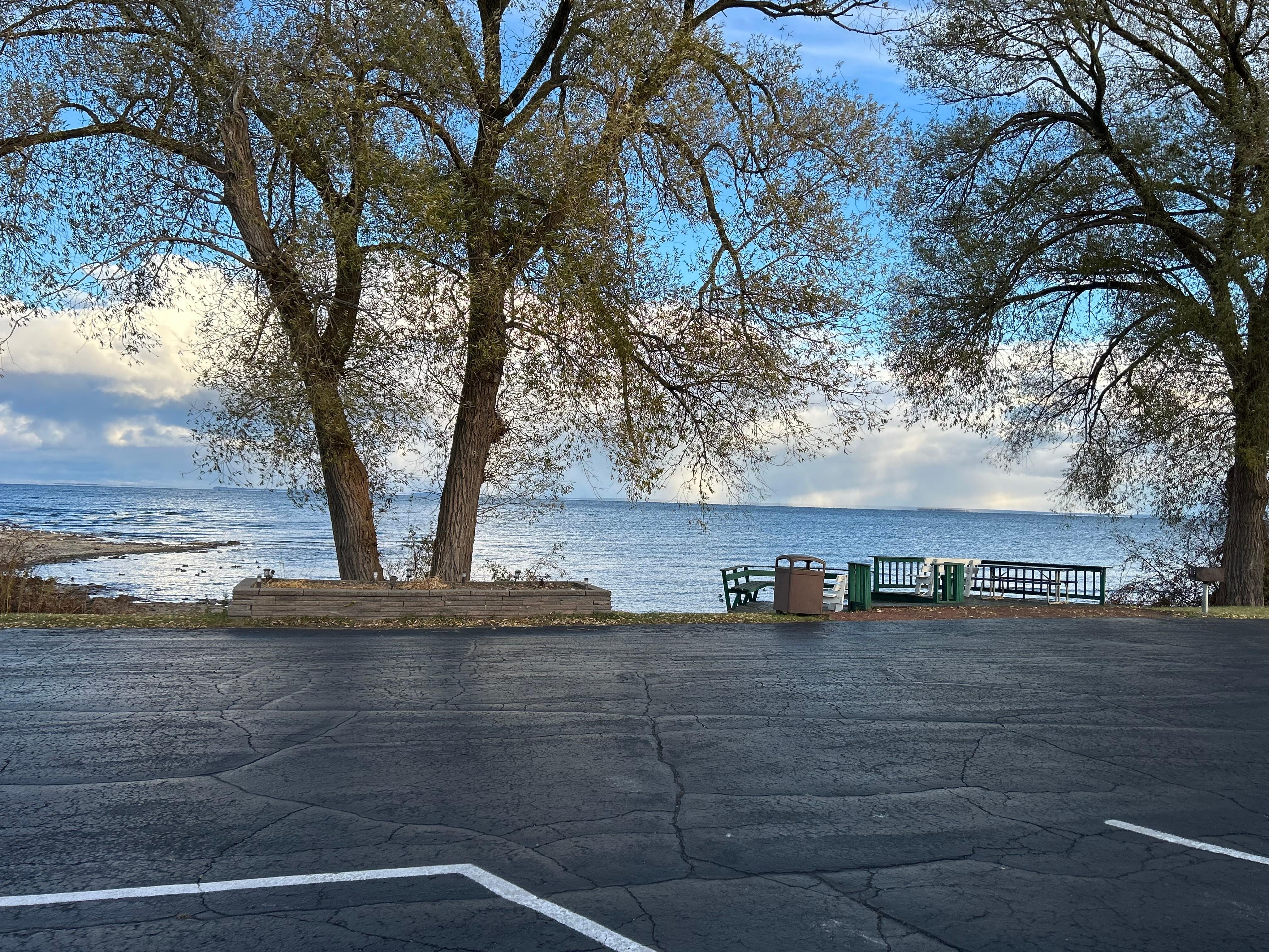 View from the back door. 